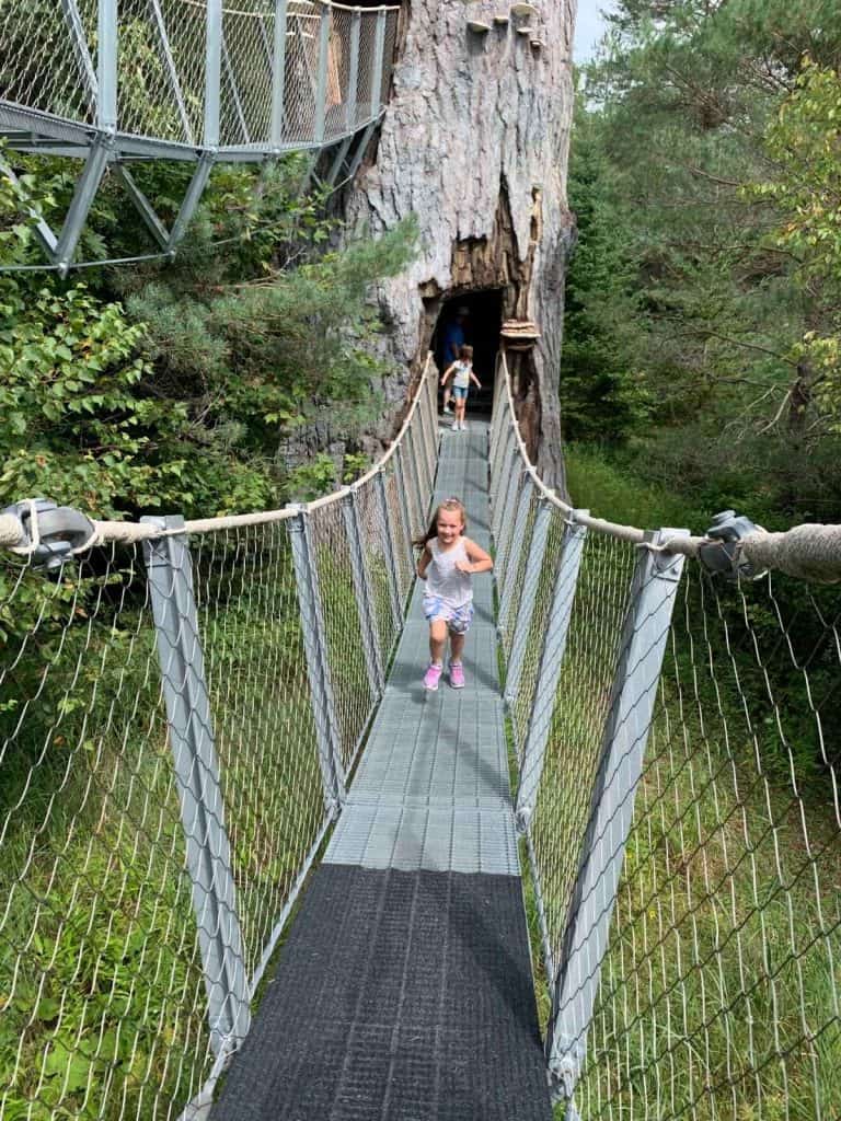A girl running toward you on a suspended rope bridge in the woods at Tupper Lake, NY.