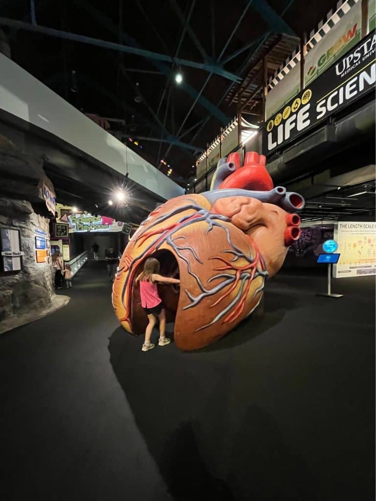 A girl walks into a giant heart exhibit tunnel in a large room with exposed beams and a sign stating Life Science overhead.