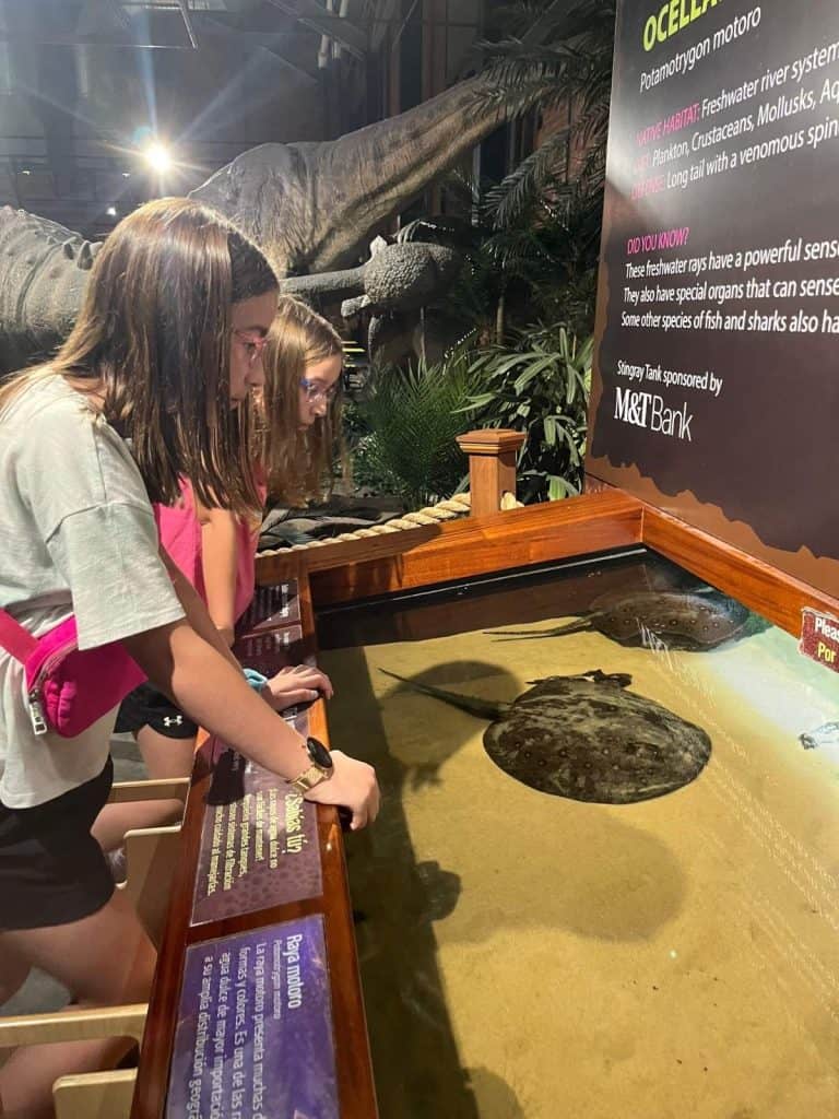 Two girls look into a water exhibit where sting rays are swimming below.