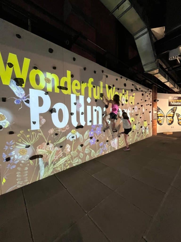 Two girls climb on a climbing wall with the words Wonderful World of Pollinators and flowers and butterflies pictured on the wall.