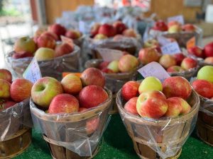 Rows of red apples in baskets for sale at an Apple Festival.
