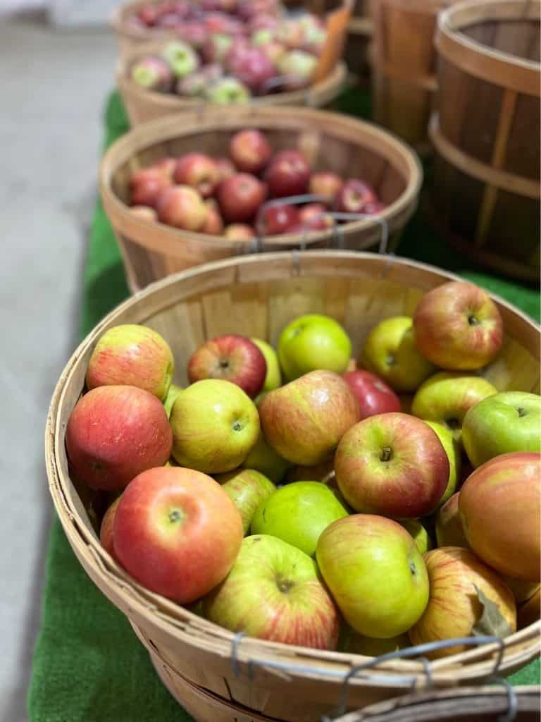 Barrels of apples for sale at an Apple Festival in NY. Barrels of red and green apples on a green mat.