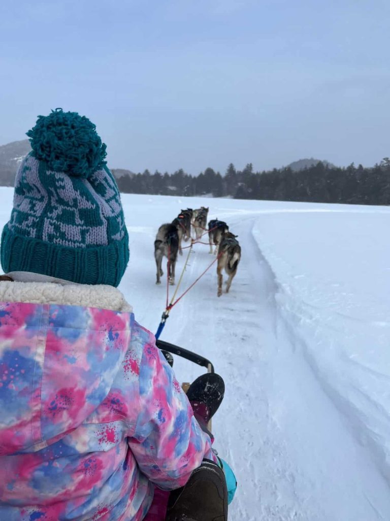 The back of a girl on a dogsled with the dogs leading through a snowy path with mountains in the distance.