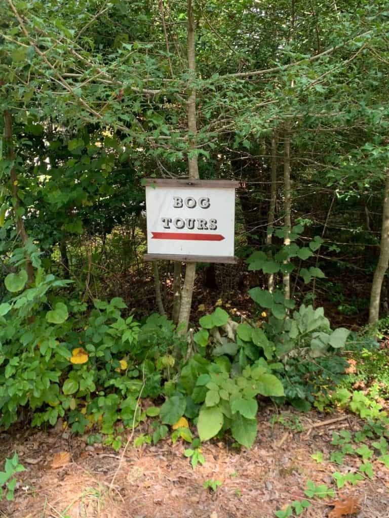 A sign that states Bog Tours with an arrow to the right sits among greenery and a wooded area.