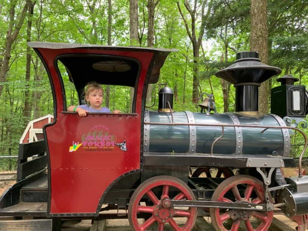 A child looking through the window of a train engine attraction at the Magic Forest family amusement park, surrounded by woods and trees.