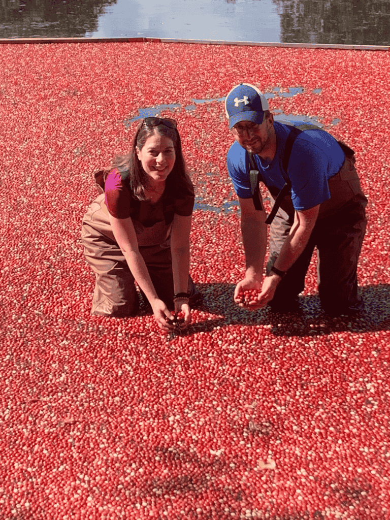 Two adults knee-deep in a bright red cranberry bog during a harvest tour in Massachusetts.